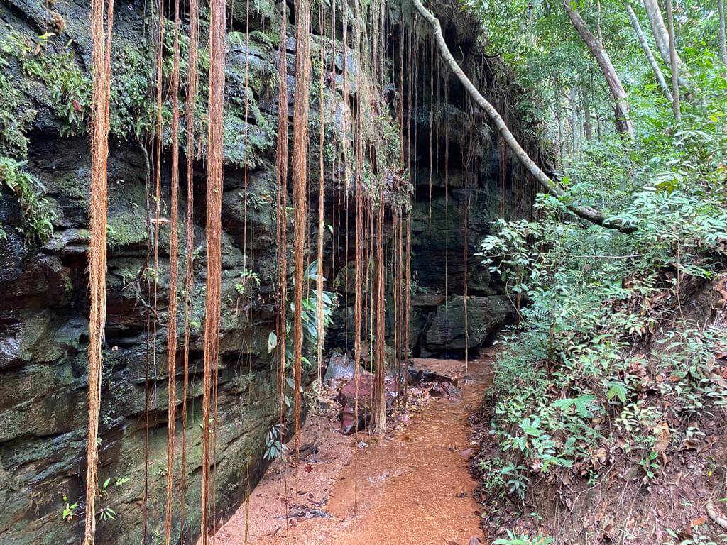 Cânion Sussuapara onde a água desce por uma fenda estreita entre paredões úmidos cobertos por samambaias e vegetação típica. No trajeto pelo côrrego tem pequenas piscinas naturais perfeitas para um banho refrescante.