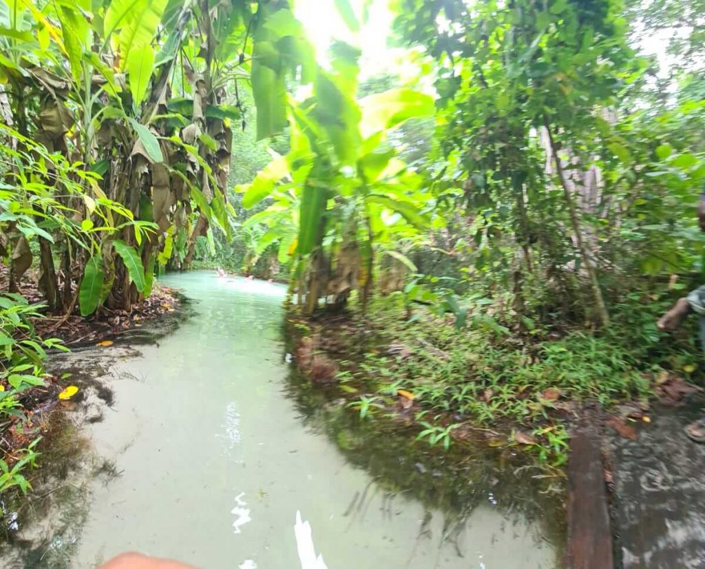 Fervedouro do Ceiça - piscina natural, de água azul transparente cercada por bananeiras. Aproveita para mergulhar, pois é impossível afundar.