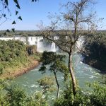 O parque nacional protege uma riquíssima biodiversidade - Foz do Iguaçu, Paraná