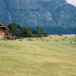 A beleza dos jardins, lagos e montanhas em perfeita Harmonia - Bariloche, Argentina