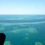 Imensa faixa de corais - Barreira dos Corais, Queensland - Austrália